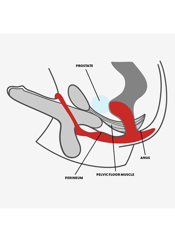 Analsex - Buttplug Fun Bootie Ring - bilde 4
