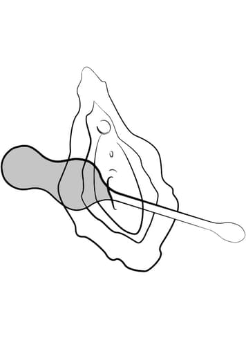 Sexleketøy for henne - ROMP Cello vibratoregg - bilde 18