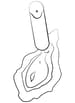 Sexleketøy for henne - ROMP Riot bulletvibrator - bilde 14