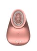 Sexleketøy for henne - Klitorispumpe vibrerende Rose - bilde 2