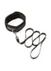 Frekke sexleketøy - SEI-MIO - Take the Lead Padded Neck Collar and Leash - bilde 1