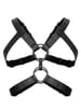 Bondage - Bedroom Fantasies Rocco Bondage Harness - bilde 2
