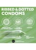 Kondomer - Kondomer EXS Ribbed & Dotted 12 pk - bilde 3