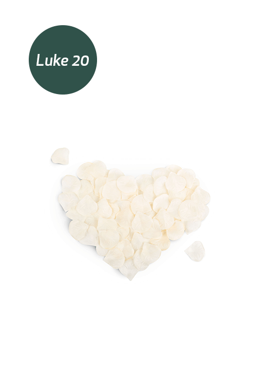Luke20-Naughty-roseblader.png