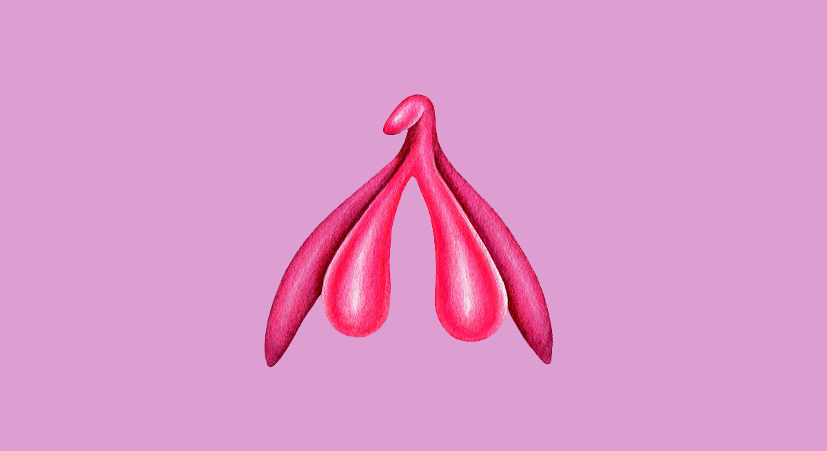 Klitoris_3d.jpg